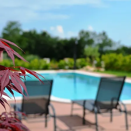 ヴィラ Spacious Dubravka With A Large Pool Tinjan